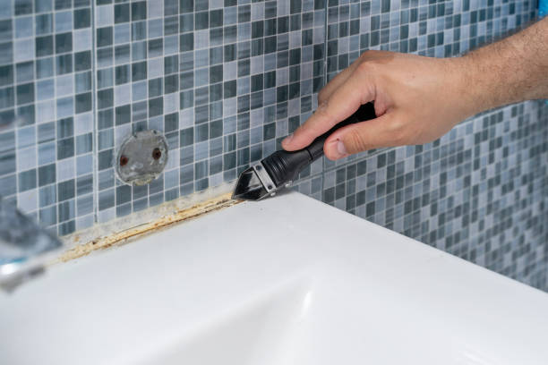 Best Bathroom Mold Remediation in Red Bluff, CA