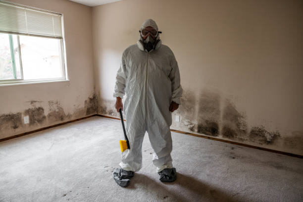 Best Attic Mold Remediation in Red Bluff, CA